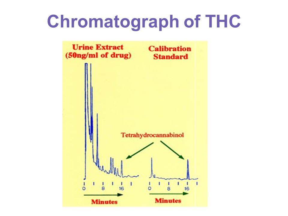 An introduction to the analysis of tetrahydrocannabinol thc
